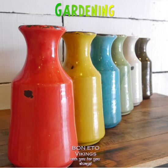 GardenIng – BON ETO vikings