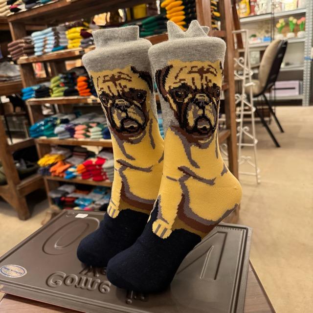 TOPANGA SOCKS Ledy‘s リアルパグソックス　イヌ　パグ　靴下　おすわり　たれ耳　スニーカー　スニーカーソックス　