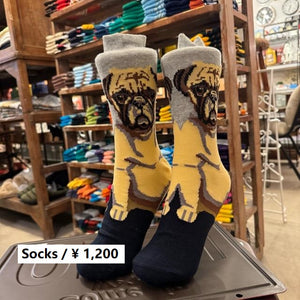 TOPANGA SOCKS Ledy‘s リアルパグソックス　イヌ　パグ　靴下　おすわり　たれ耳　スニーカー　スニーカーソックス　