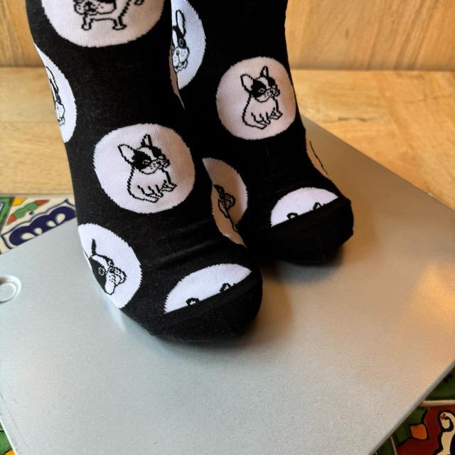 TOPANGA SOCKS Men's　ゴンちゃんソックス　靴下　メンズソックス　フレンチブルドッグ　派手ソックス　ハイソックス　　動物ソックス　プチギフト