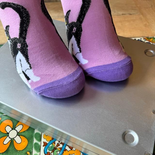 TOPANGA SOCKS Lady's　ふりむきネコソックス　ピンク　靴下　レディース　クルーソックス　クロネコ　ネコ　スニーカー　ファッション　ペット　さんぽ　