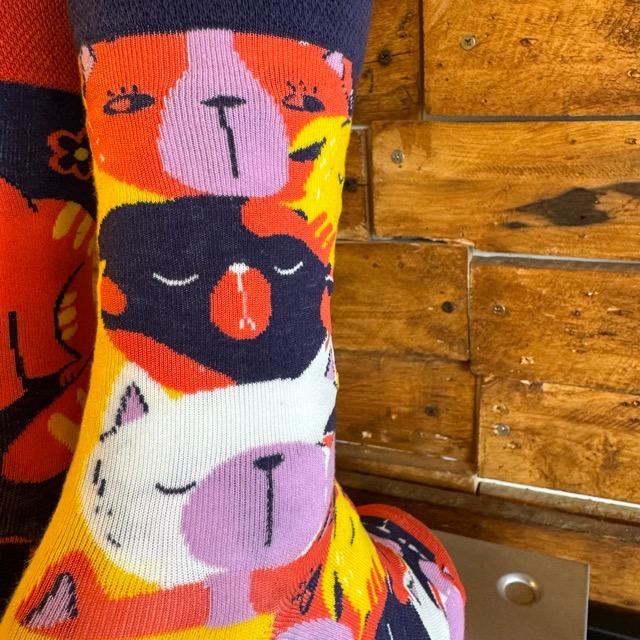 TOPANGA SOCKS Lady's　アシンメトリーふてくされネコソックス　靴下　レディース　クルーソックス　ネコ　ふてくされ　無表情　シュール　プチギフト