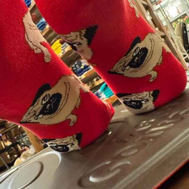 TOPANGA SOCKS Men's　パグ　靴下　メンズソックス　派手ソックス　犬　いぬ　イヌ　ドッグ　アニマル　レッド　足元ファッション　プチギフト