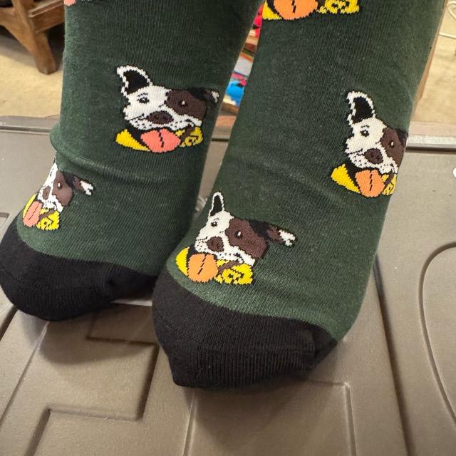 TOPANGA SOCKS Men's　テリア　靴下　メンズソックス　派手ソックス　犬　いぬ　イヌ　ドッグ　アニマル　グリーン　足元ファッション　プチギフト