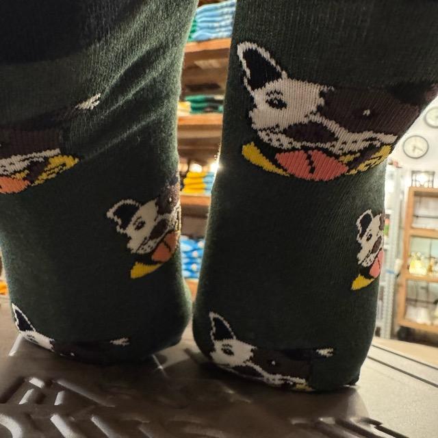 TOPANGA SOCKS Men's　テリア　靴下　メンズソックス　派手ソックス　犬　いぬ　イヌ　ドッグ　アニマル　グリーン　足元ファッション　プチギフト