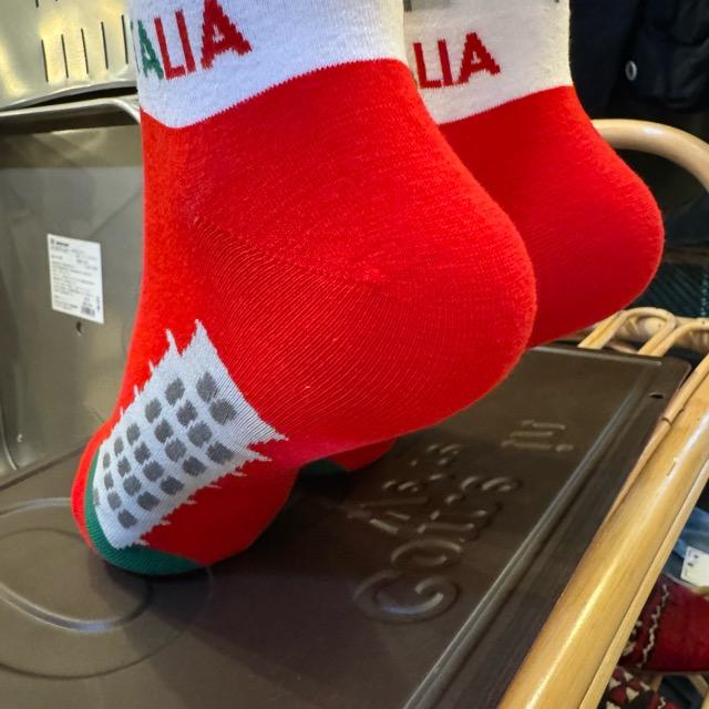 TOPANGA SOCKS Lady's　イタリア　ピサの斜塔　ソックス　世界遺産　海外　旅行　スニーカー　足元ファッション　靴下　ユニーク　プチギフト　