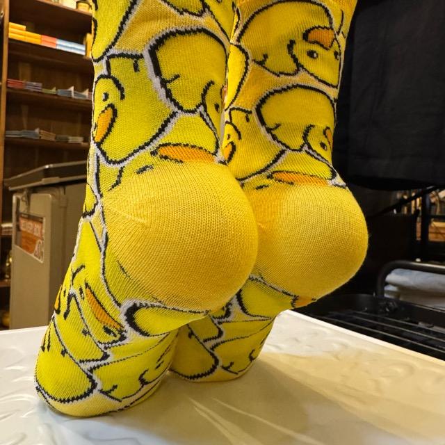 TOPANGA SOCKS Lady's　ひなアヒルの大群　アヒル　ひな　雛　黄色　靴下　ユニーク　足元ファッション　プチギフト　クルーソックス　スニーカー