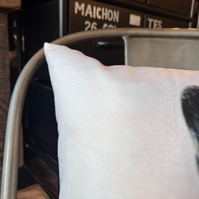 TOPANGA Homefurnishing フレブルクッションカバー　45×45cm　princess　フレンチブルドッグ　犬　ドッグ