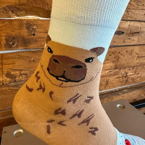 TOPANGA SOCKS Lady's　アシンメトリーカピバラソックス　靴下　レディース　クルーソックス　スカイブルー　ブラウン