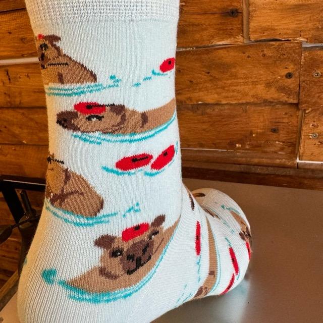 TOPANGA SOCKS Lady's　アシンメトリーカピバラソックス　靴下　レディース　クルーソックス　スカイブルー　ブラウン