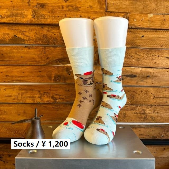 TOPANGA SOCKS Lady's　アシンメトリーカピバラソックス　靴下　レディース　クルーソックス　スカイブルー　ブラウン