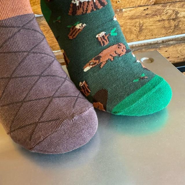 TOPANGA SOCKS Lady's　アシンメトリークマさんソックス　ベアー　靴下　レディース　クルーソックス　グリーン　ブラウン