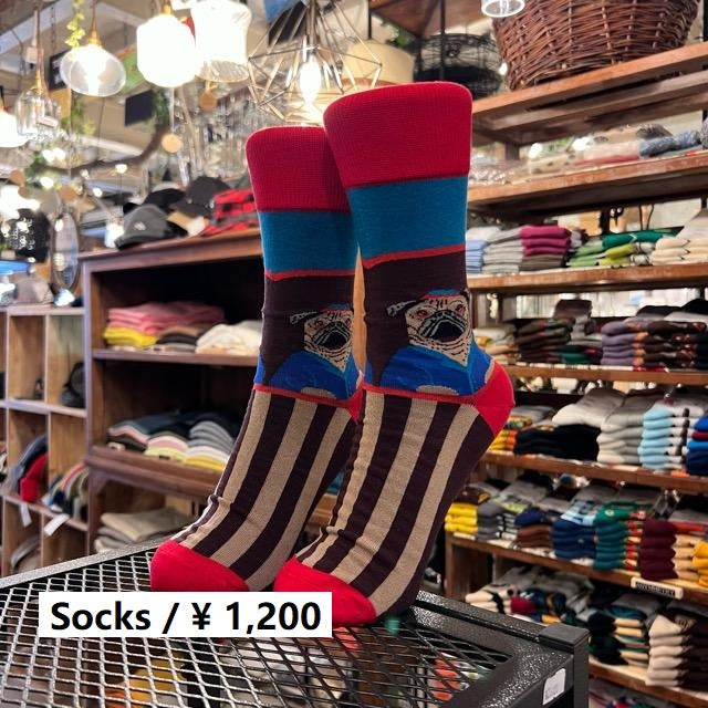 TOPANGA SOCKS Lady's　ボーダードッグソックス