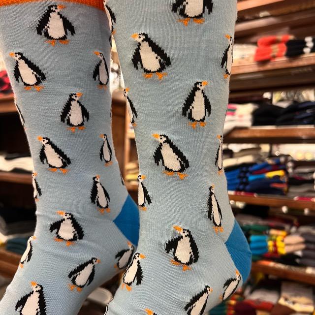 TOPANGA SOCKS Men's　ペンギンソックス