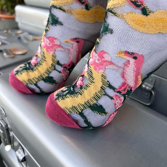 TOPANGA SOCKS 　シアーソックス　きいろいリスとぴんくの小鳥　ファッション　靴下　シアーソックス　レディース　小物