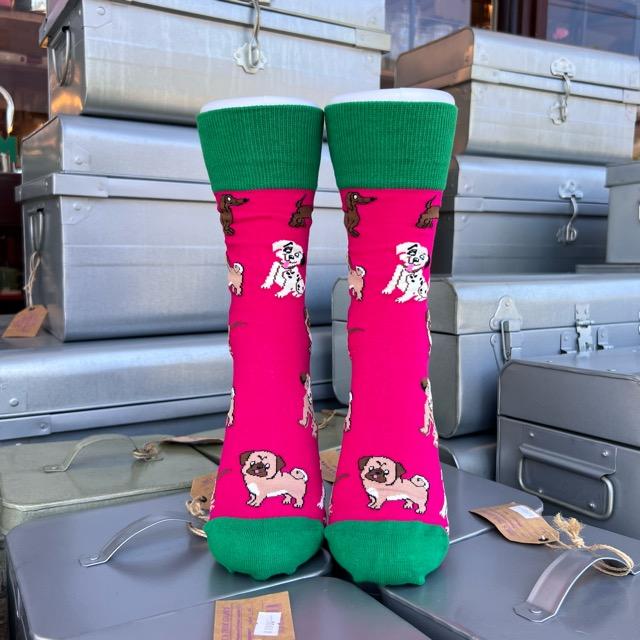 TOPANGA SOCKS Lady's　ワンちゃん’sソックス　ピンク　ファッション　レディース　靴下　動物　グレー　