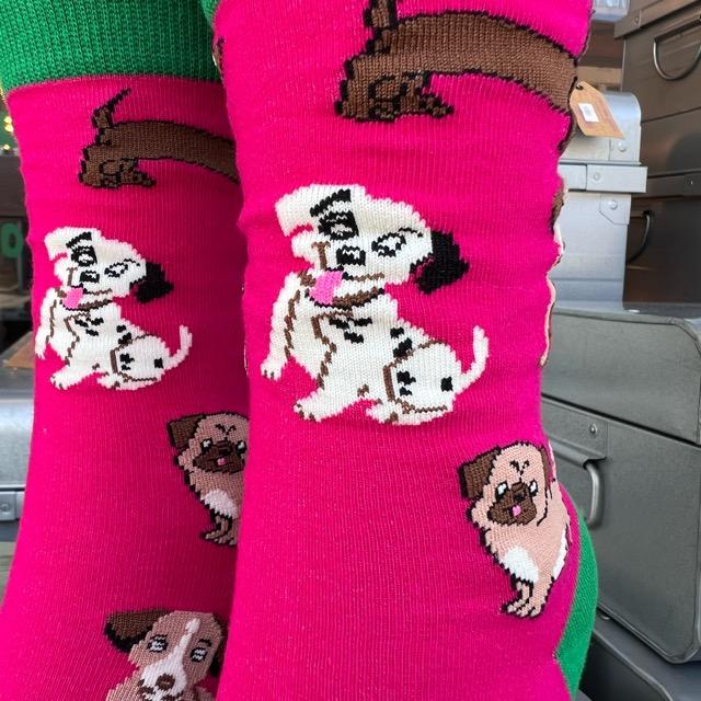 TOPANGA SOCKS Lady's　ワンちゃん’sソックス　ピンク　ファッション　レディース　靴下　動物　グレー　