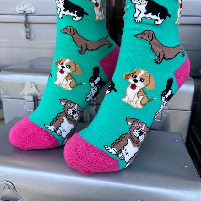 TOPANGA SOCKS Lady's　ワンちゃん’sソックス　グリーン　ファッション　レディース　靴下　動物　グレー　