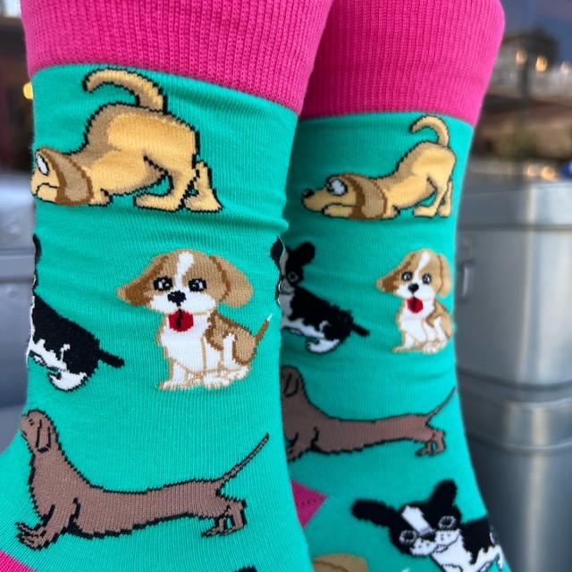 TOPANGA SOCKS Lady's　ワンちゃん’sソックス　グリーン　ファッション　レディース　靴下　動物　グレー　