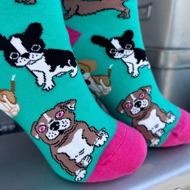 TOPANGA SOCKS Lady's　ワンちゃん’sソックス　グリーン　ファッション　レディース　靴下　動物　グレー　