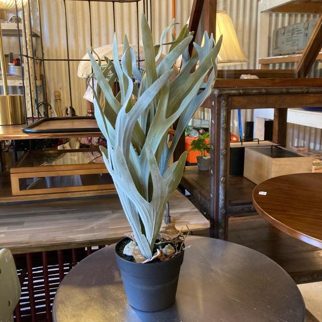 フェイクグリーン　コウモリラン　観葉植物　新築祝い　開店祝い　リビング　玄関　プレゼント　ギフト　贈り物