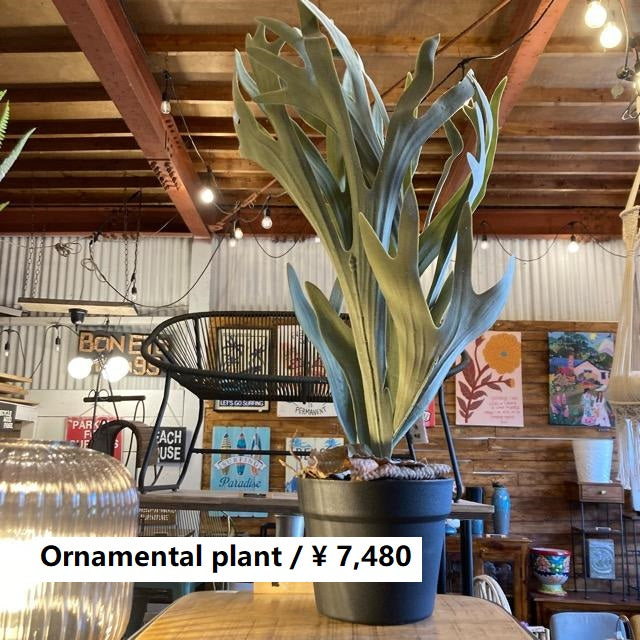 フェイクグリーン　コウモリラン　観葉植物　新築祝い　開店祝い　リビング　玄関　プレゼント　ギフト　贈り物