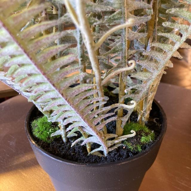 フェイクグリーン　ボストンファーン　観葉植物　新築祝い　開店祝い　リビング　玄関　プレゼント　ギフト　贈り物