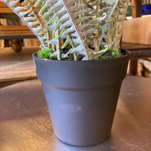 フェイクグリーン　ボストンファーン　観葉植物　新築祝い　開店祝い　リビング　玄関　プレゼント　ギフト　贈り物