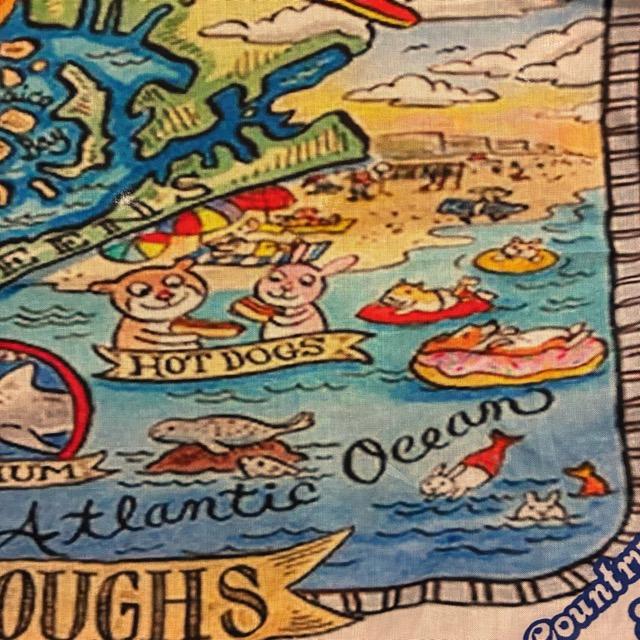 TOPANGA accessory TOPANGA FIRECOUNTRY Bandana NEW YORK CITY White