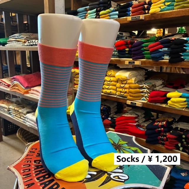 TOPANGA SOCKS Men's　パターンボーダーソックス　ブルー　靴下　メンズソックス　スニーカー　足元ファッション　プチギフト　クルーソックス