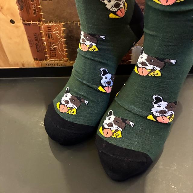 TOPANGA SOCKS Men's Art Socks Terrier Green　