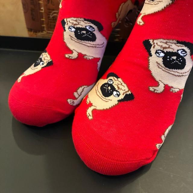 TOPANGA SOCKS Men's Art Socks Pug red