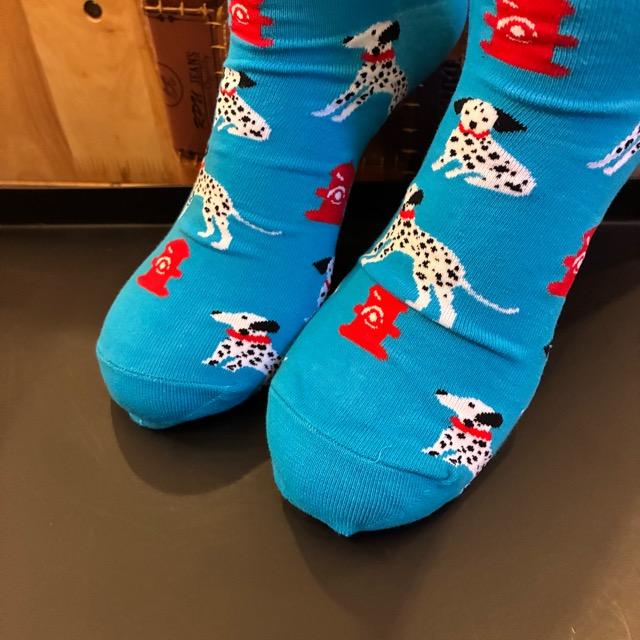 TOPANGA SOCKS Men's Art Socks Dalmatian Blue