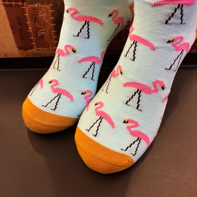 TOPANGA SOCKS Men's Art Socks Flamingo Blue