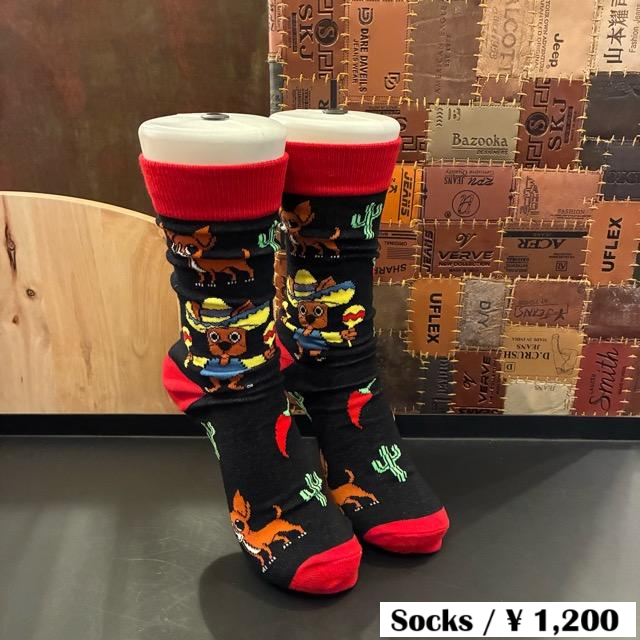 TOPANGA SOCKS Lady's Art Socks Mexican Chihuahua Black