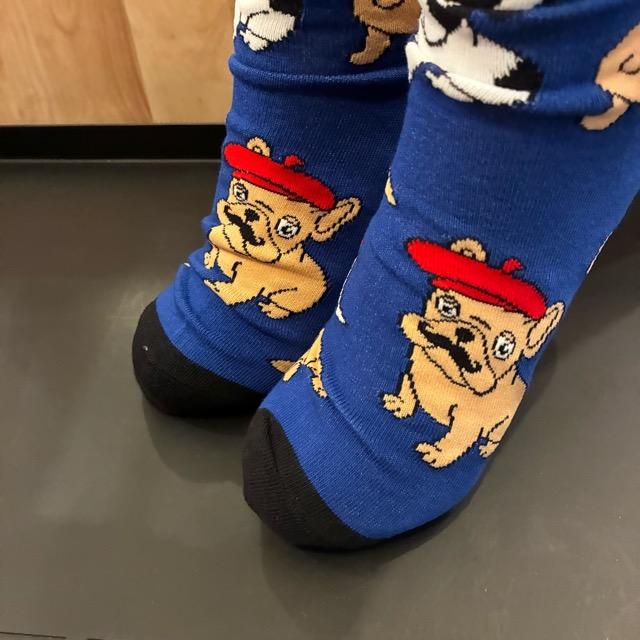 TOPANGA SOCKS Lady's　Art Socks France French bulldog Blue