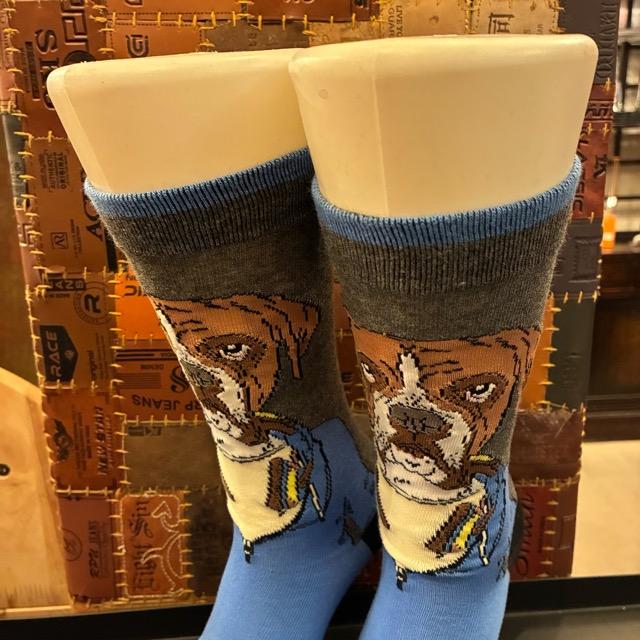 TOPANGA SOCKS Men's Art Socks Music dog Gray