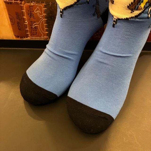 TOPANGA SOCKS Men's Art Socks Music dog Gray