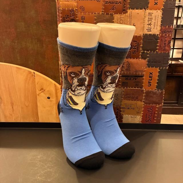 TOPANGA SOCKS Men's Art Socks Music dog Gray