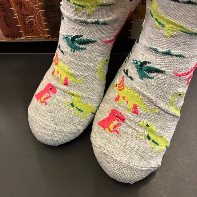 TOPANGA SOCKS Men's　Art Socks Dinosaur　Gray