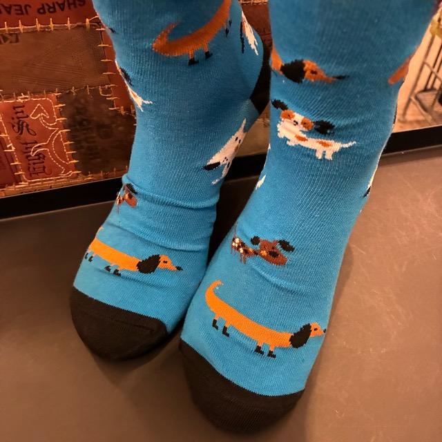 TOPANGA SOCKS Men's Art Socks Dog run Blue