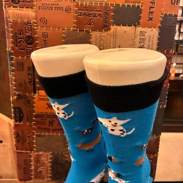 TOPANGA SOCKS Men's Art Socks Dog run Blue