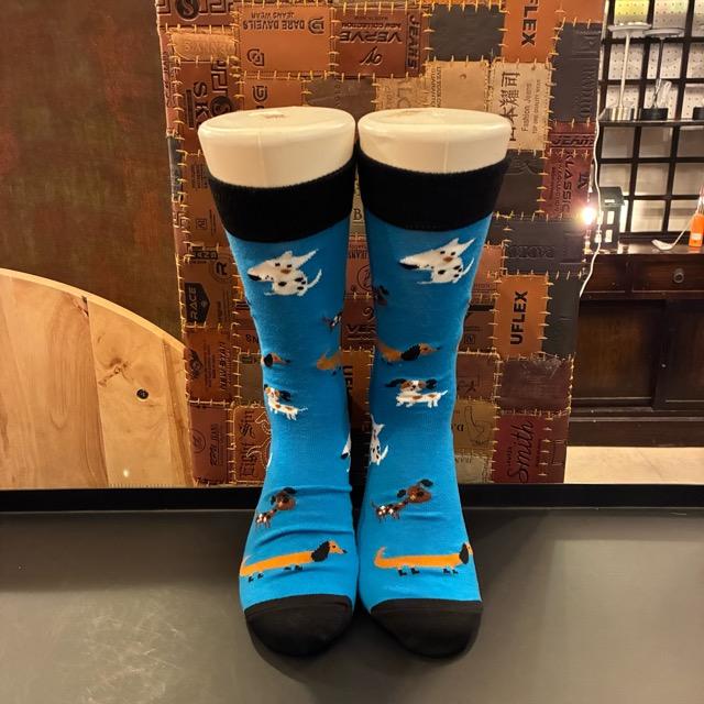 TOPANGA SOCKS Men's Art Socks Dog run Blue