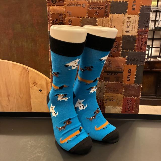TOPANGA SOCKS Men's Art Socks Dog run Blue