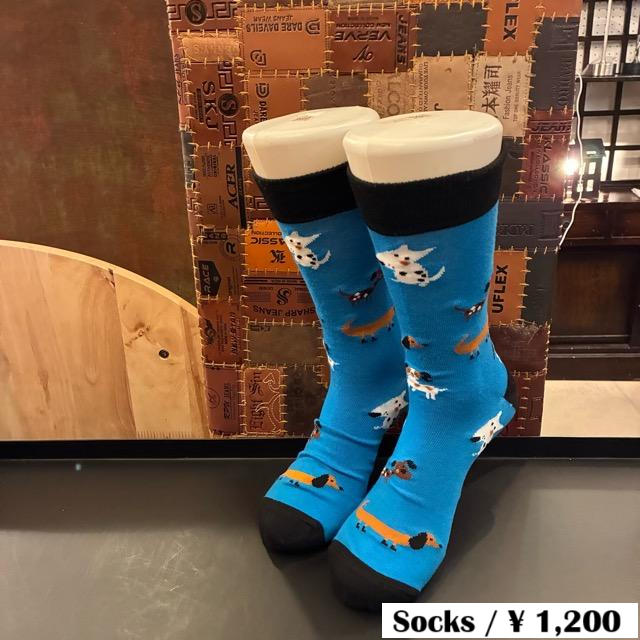 TOPANGA SOCKS Men's Art Socks Dog run Blue