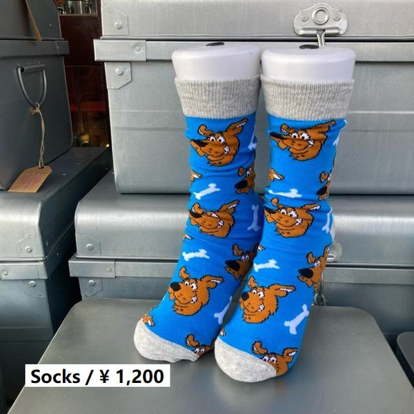 ソックス ZX V4 SOCKS｜Japan official｜alpinestars アルパインスターズ