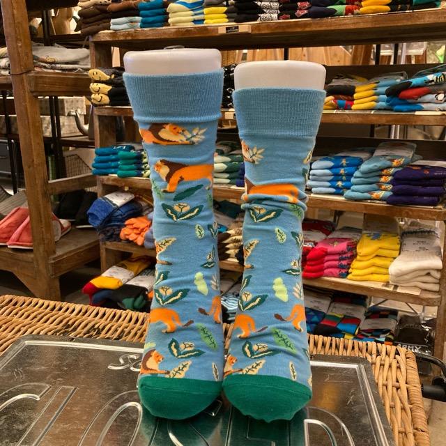 TOPANGA SOCKS Men's　花とライオンソックス　ブルー　オレンジ　フラワー　靴下　メンズソックス　派手ソックス　プチギフト