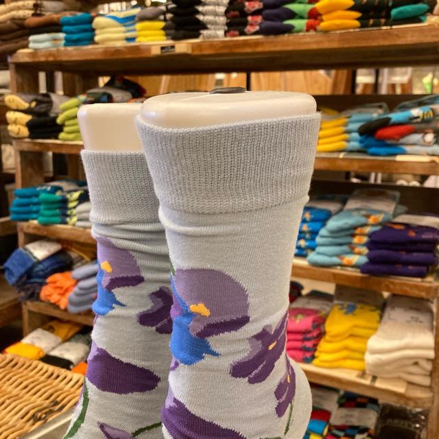 TOPANGA SOCKS Men  's　スミレソックス　ブルー　水色　パープル　花　ヴァイオレット　靴下　メンズソックス　派手ソックス　プチギフト