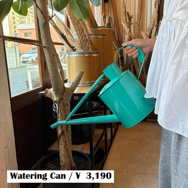 Earth Color Watering Can Green