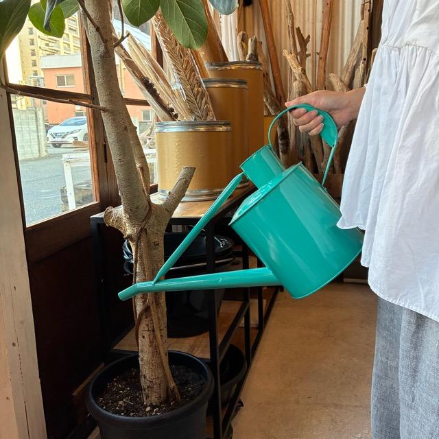 Earth Color Watering Can Green